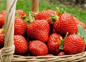 health benefits of strawberries