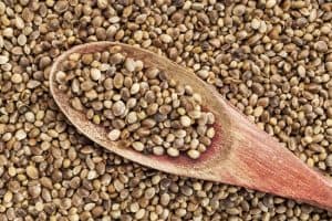 hemp seed benefits