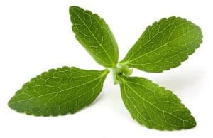 Is Stevia Healthy   Stevia 300x194 