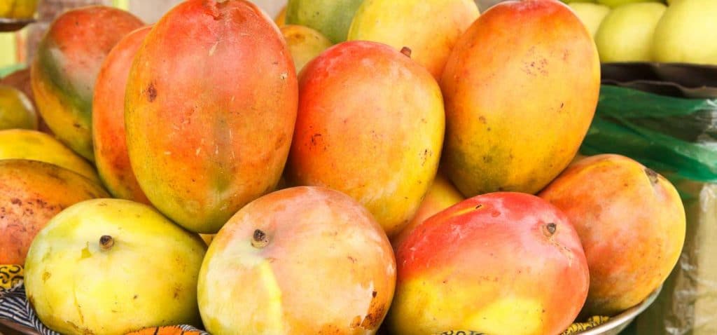 is-african-mango-good-for-weight-loss-or-another-myth