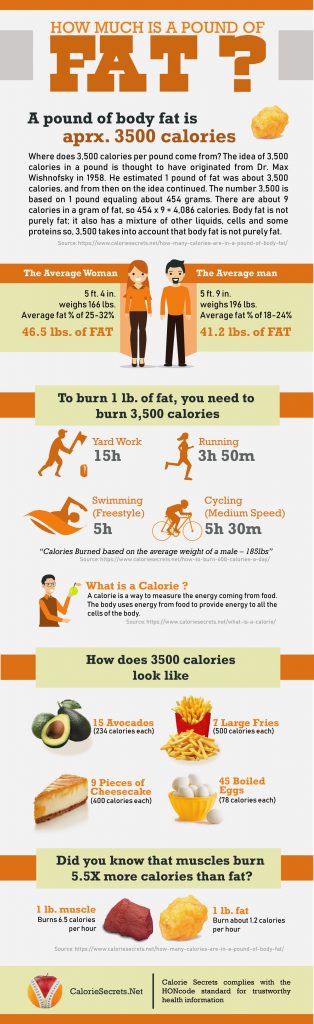 How Many Calories Are In A Pound Of Body Fat