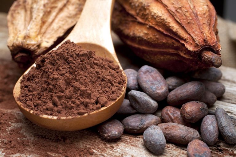 what-is-the-difference-between-cocoa-and-cacao